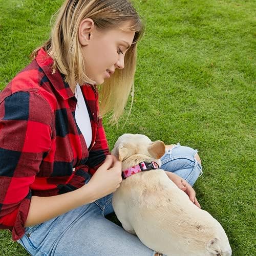 Нашийник за кучета QQPETS Малък Среден Голям: Регулируема Найлонов Сладък Цветен Модел за Момиче/Момче, Меки