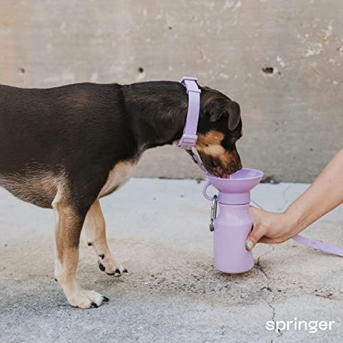 Яка Springer за кучета | Удобен, сверхпрочный нашийник за кучета | Регулируеми нашийници за кучета с безопасна
