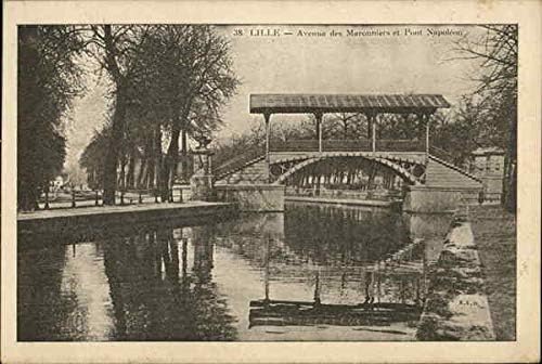 Проспект Маронье и мост на Наполеон, Лил, Франция Оригиналната антични картичка