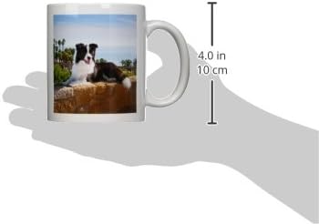 3. Съберете куче порода collie-US05 ZMU0102-Керамична чаша Zandria Muench Beraldo, 11 грама, бяла