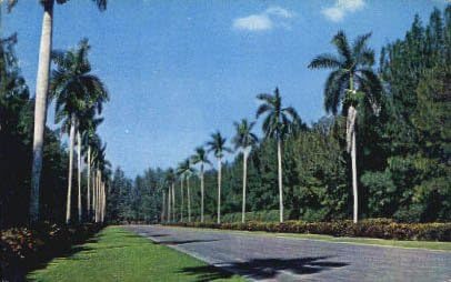 Пощенска картичка Хайалиа, Флорида