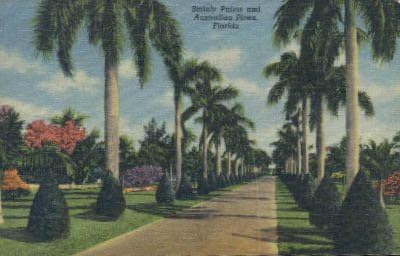 Разни, пощенска Картичка от Флорида