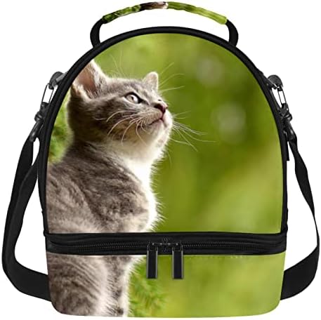 Чанта за обяд GUEROTKR за Мъже, Изолиран Обяд-Бокс, Кутия за Обяд и за Възрастни, с изображение на животно котка
